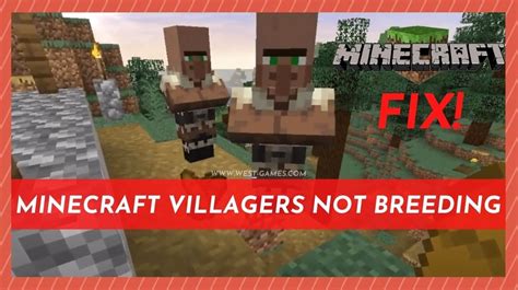 1.21 Villager Breeding Not Working : r/Minecraft .